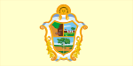 Bandeira de Manaus